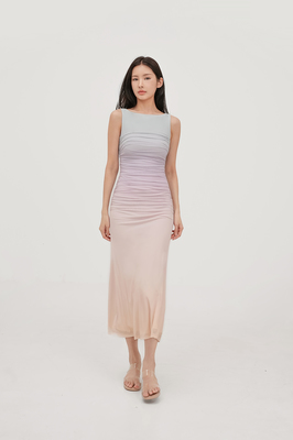 Paradise Mesh Ruched Maxi Dress