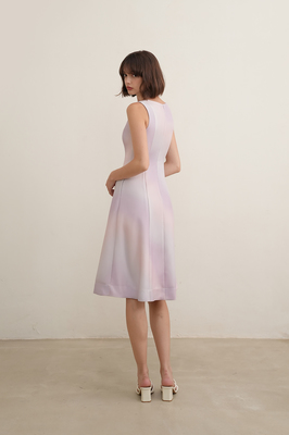 Daydream Panelled Midi Dress