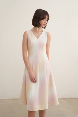 Daydream Panelled Midi Dress