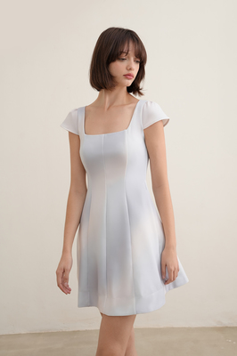 Daydream Panelled Sleeve Dress
