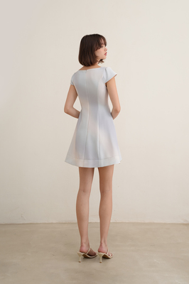 Daydream Panelled Sleeve Dress