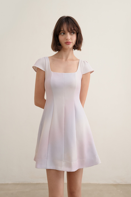 Daydream Panelled Sleeve Dress