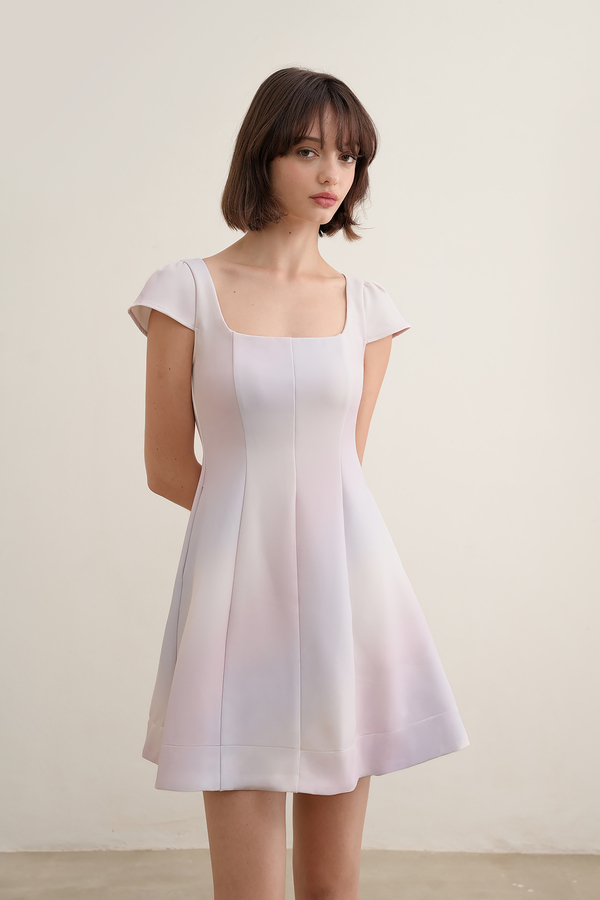 Daydream Panelled Sleeve Dress