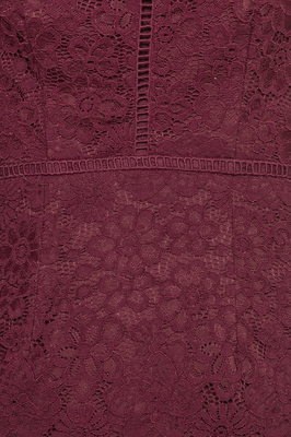 Primrose Oriental Lace Midi Dress