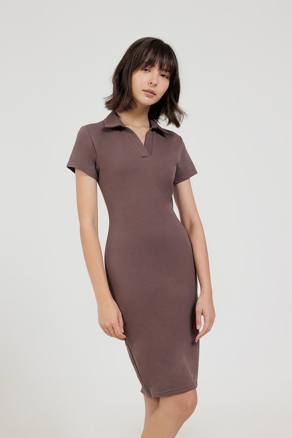 Aelic Collared Bodycon Dress