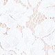 White/Nude