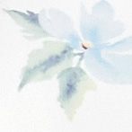 White/Blue